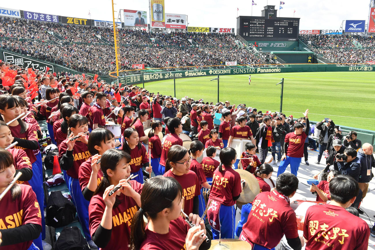 ブラスバンド部のアルプススタンドでの応援演奏が甲子園球場に鳴り響く（19年3月24日撮影）
