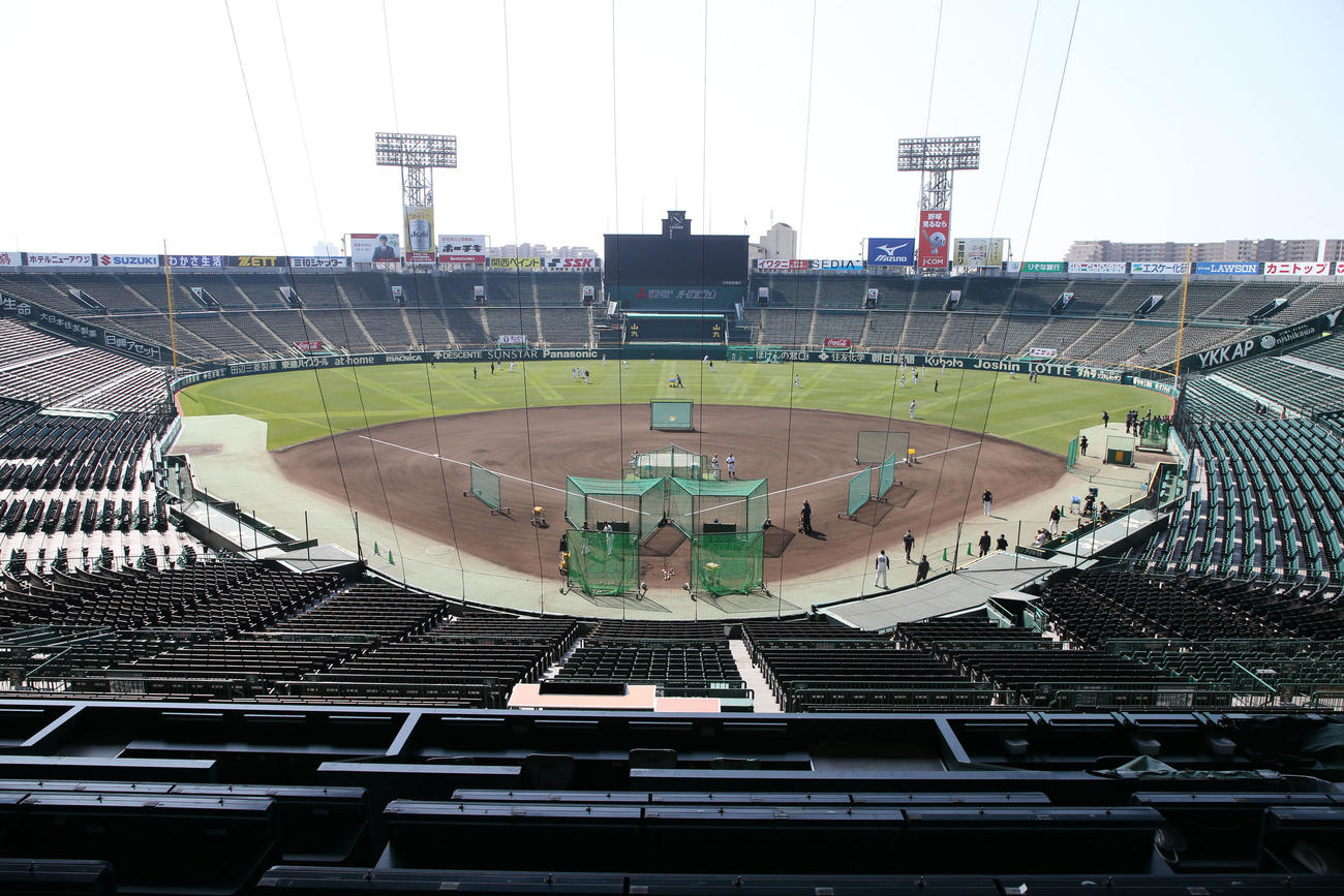 本来はセンバツ開幕の日だったが、グラウンドに高校生の姿はなく、阪神タイガースのナインが練習する甲子園球場（撮影・加藤哉）