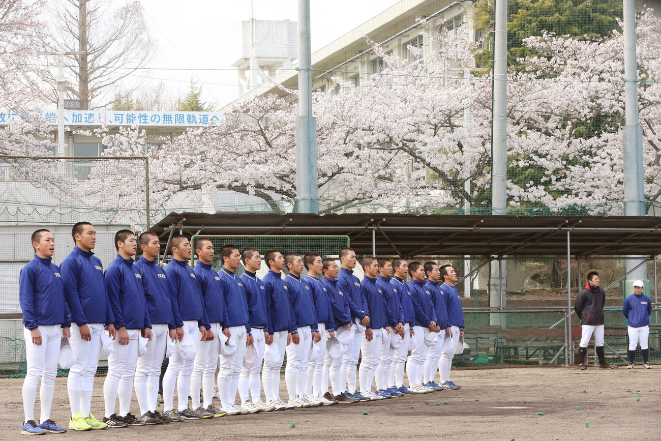 桜が咲き誇る中、3月3日以来の合同練習を終え、校歌を歌う磐城の選手たち。後方右から後藤新部長、渡辺新監督（撮影・野上伸悟）