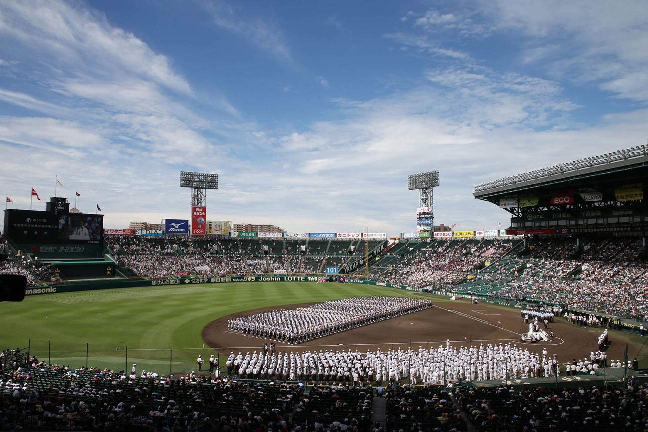 昨年の夏の甲子園開会式（2019年8月6日撮影）