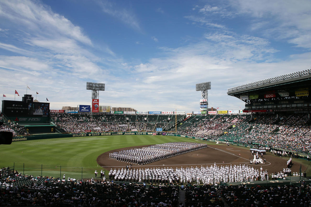 19年8月、第101回全国高校野球の開会式