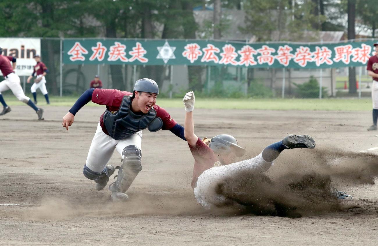 甲子園高校野球交流試合に出場が決まり練習にも気合が入る帯広農の選手たち（撮影・黒川智章）