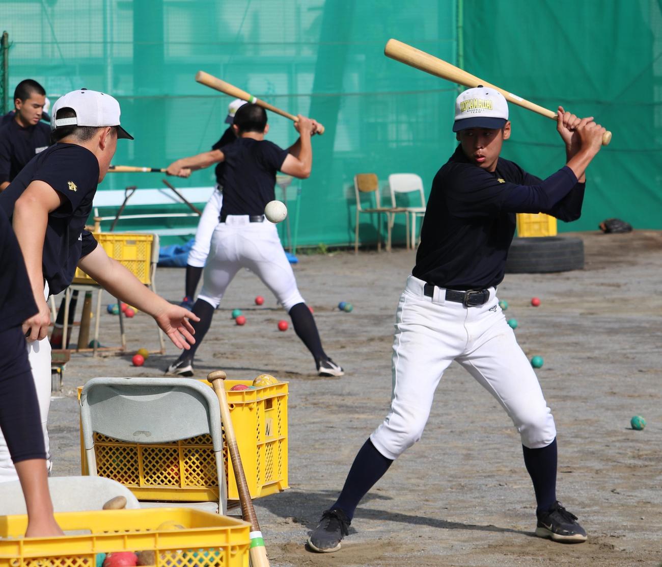 ティー打撃を行う小山台の野球部員（撮影・古川真弥）