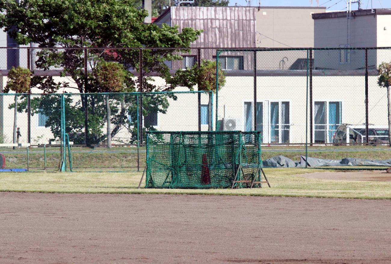グラウンドの右中間付近にできた鳥の巣を守るため小さなネットが置かれた（撮影・永野高輔）