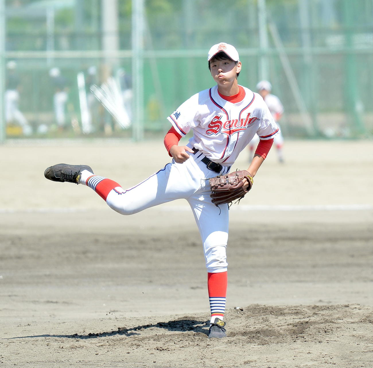 夏全勝を誓う仙台商エース高橋堅（撮影・鎌田直秀）