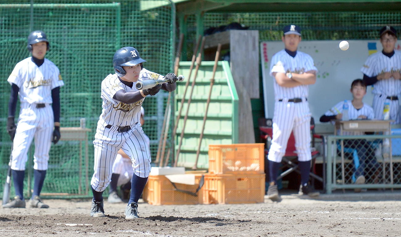 バントする能代・市川（撮影・鎌田直秀）