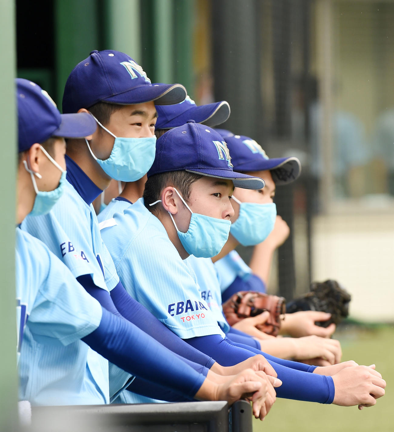 南葛飾対日体大荏原　マスク姿で試合を見つめる日体大荏原ナイン（撮影・横山健太）