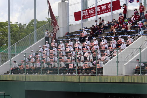 桜宮対大阪電通大高　新型コロナウイルス感染予防対策でスタンドから声を出して応援が出来ないため、手作りのプラカードを使って応援する控え部員たち（撮影・磯綾乃）