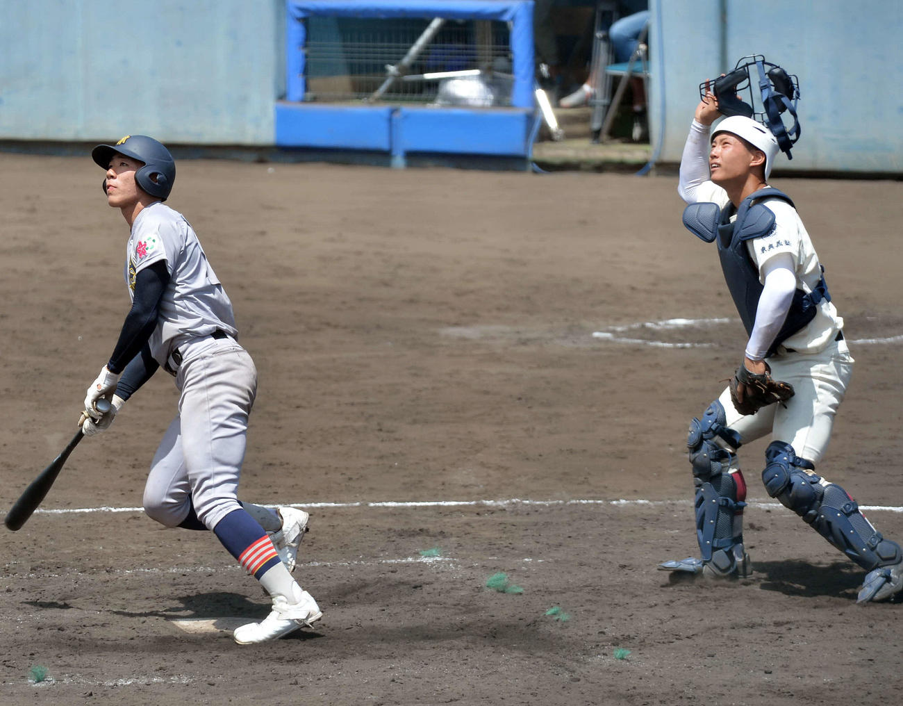 東奥義塾対青森山田　5回裏青森山田1死、左越え本塁打を放つ小牟田（撮影・佐藤究）　