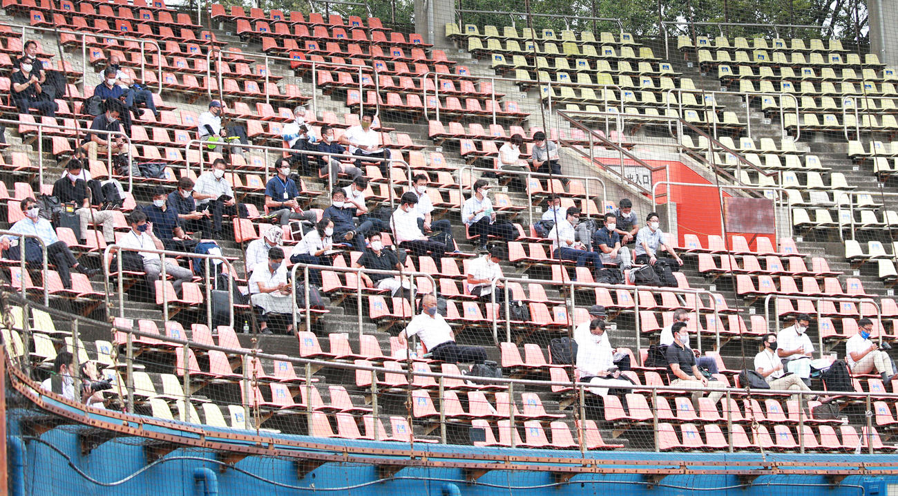 ネット裏から練習試合を見つめるスカウトら（撮影・中島郁夫）