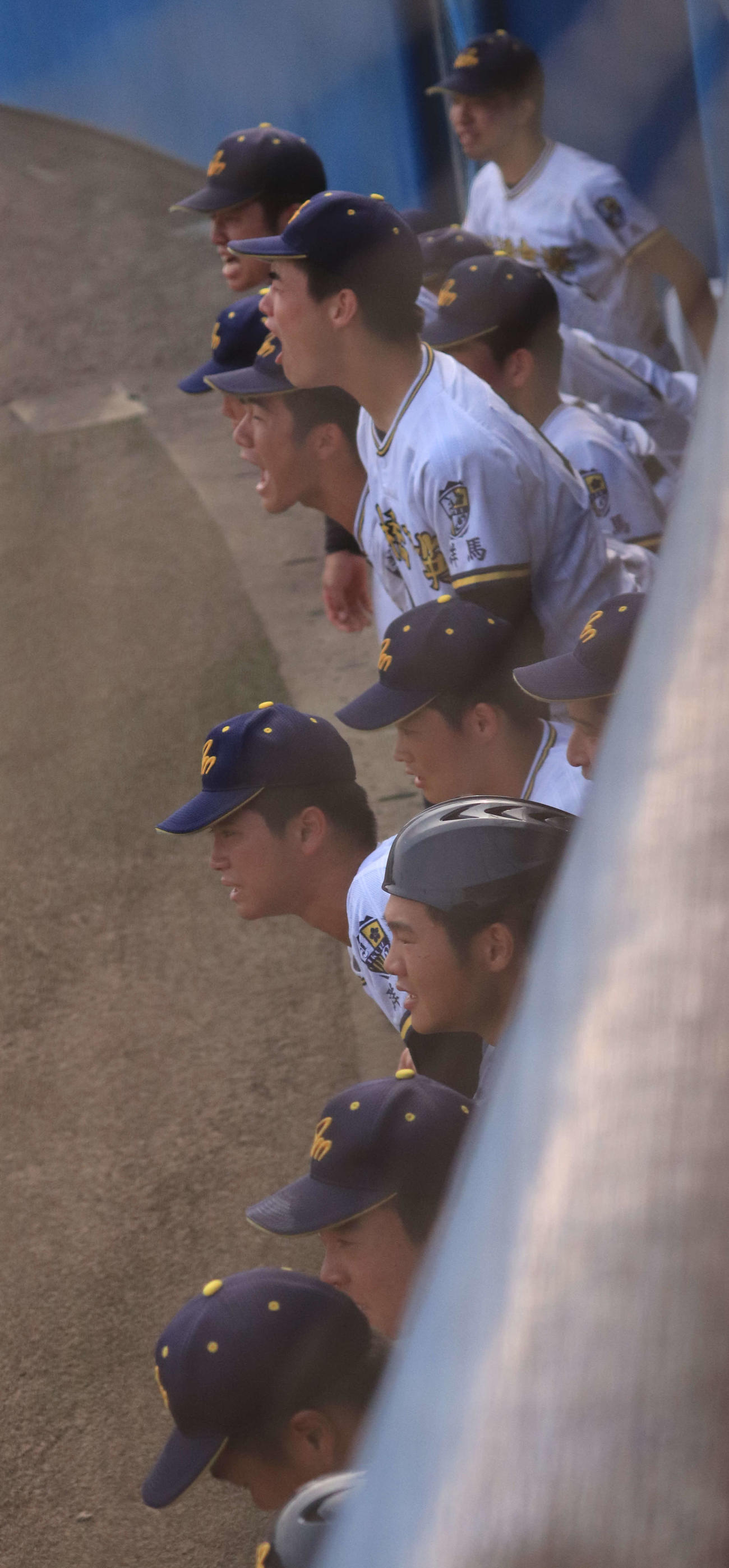 高崎健康福祉大高崎対前橋育英　2点差まで追い詰めた9回、声をからして応援する前橋育英ベンチ（撮影・小早川宗一郎）