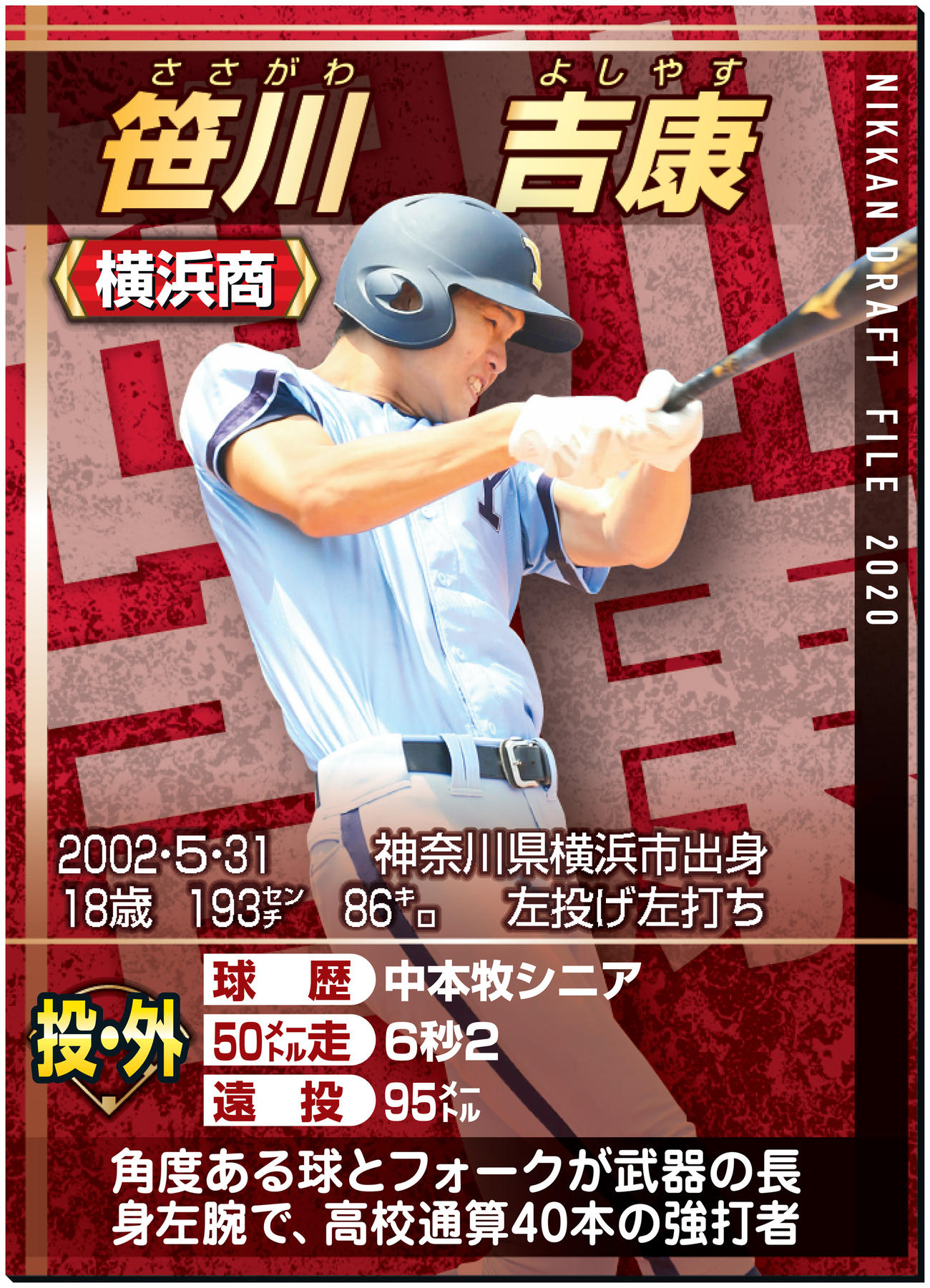 ドラフトファイル：笹川吉康