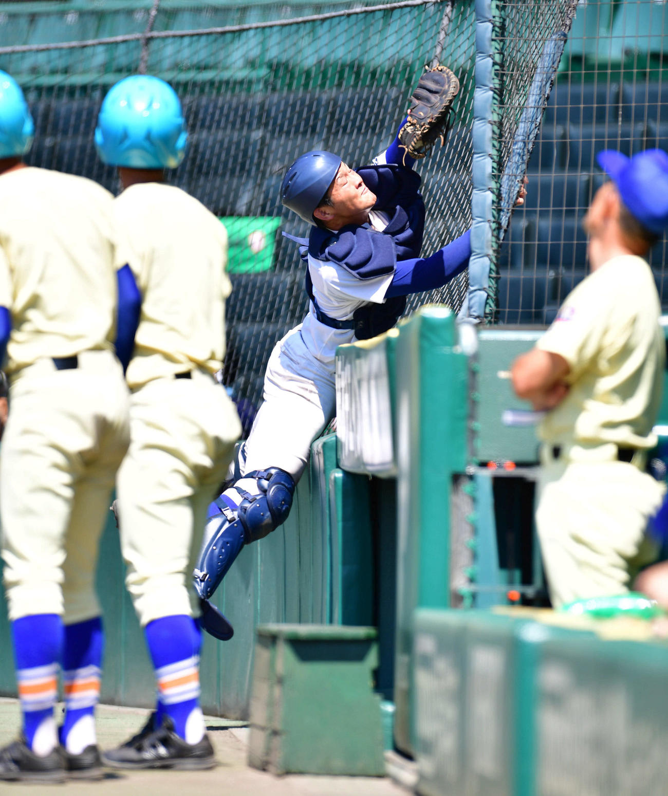 履正社対星稜　2回裏星稜無死、今井秀輔のバックネットへのフライを好捕する履正社・関本勇輔（撮影・岩下翔太）
