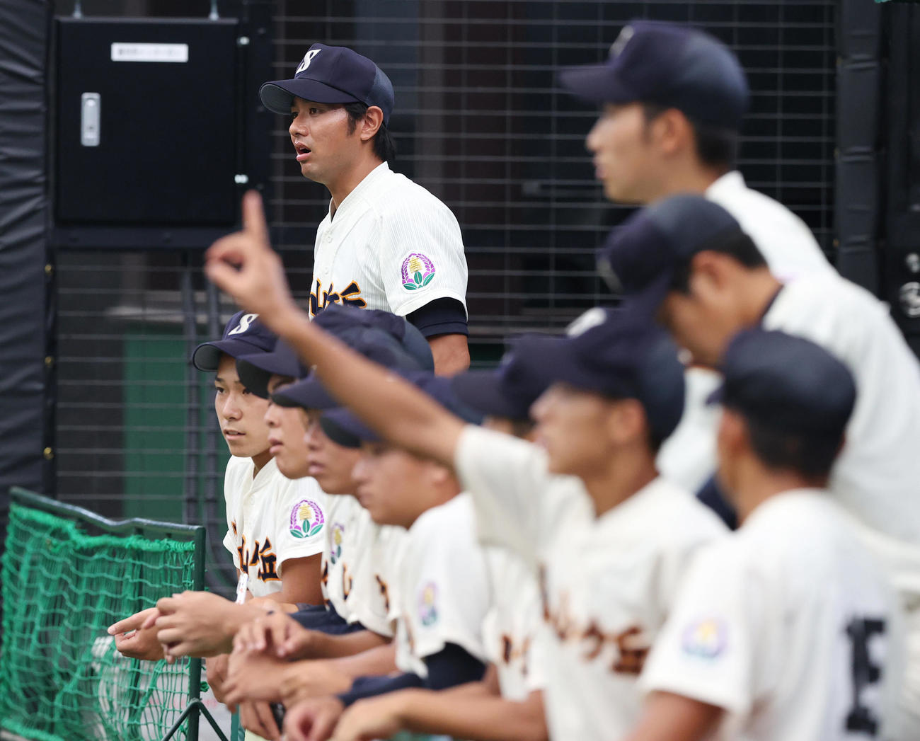 昌平対狭山ケ丘　ベンチナインと戦況を見つめる狭山ケ丘・平沢監督（奥）（撮影・垰建太）