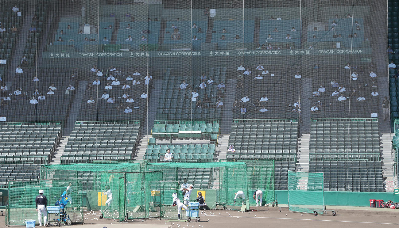 フリー打撃を行う選手らをネット裏から見つめる多数のスカウトたち（撮影・前田充）