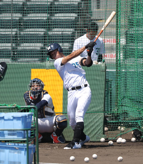 フリー打撃を行う龍谷大平安・奥村(撮影・前田充)