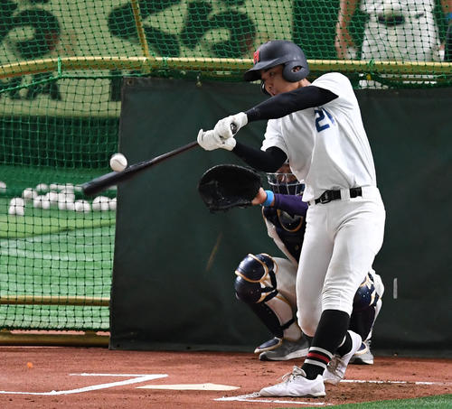 フリー打撃で快音を響かせる弘前東・藤田（撮影・横山健太）