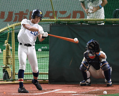 フリー打撃で快音を響かせる上田西・高寺（撮影・横山健太）