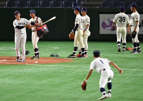 シートノックでノッカーを務める侍ジャパンの内野守備走塁コーチの井端弘和さん（撮影・横山健太）