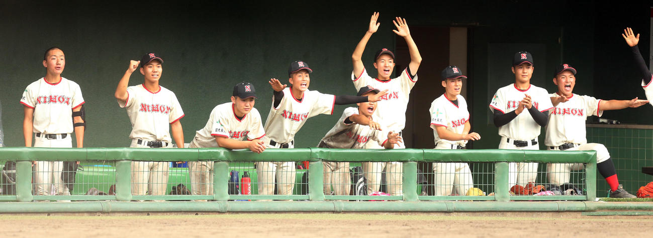 日大東北対安積　得点に盛り上がる日大東北ベンチ（撮影・野上伸悟）