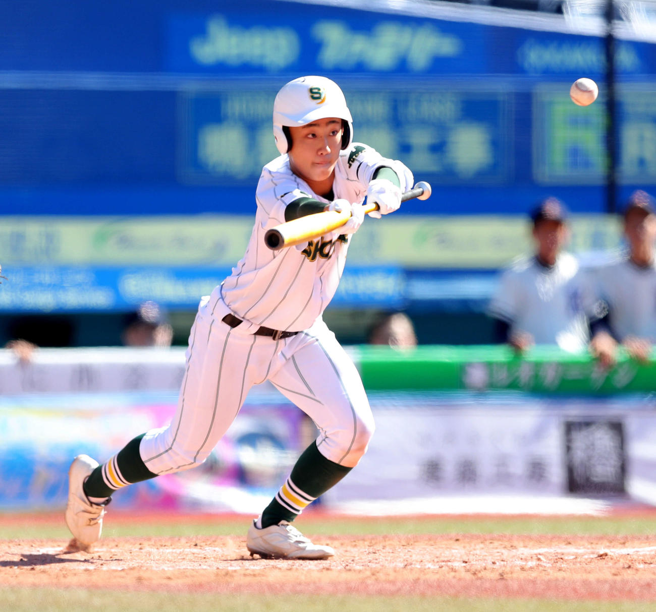 鎌倉学園対昌平　5回裏昌平1死二、三塁、昌平・福地のスクイズは一塁への勝ち越しの適時内野安打となる（撮影・河田真司）　　　