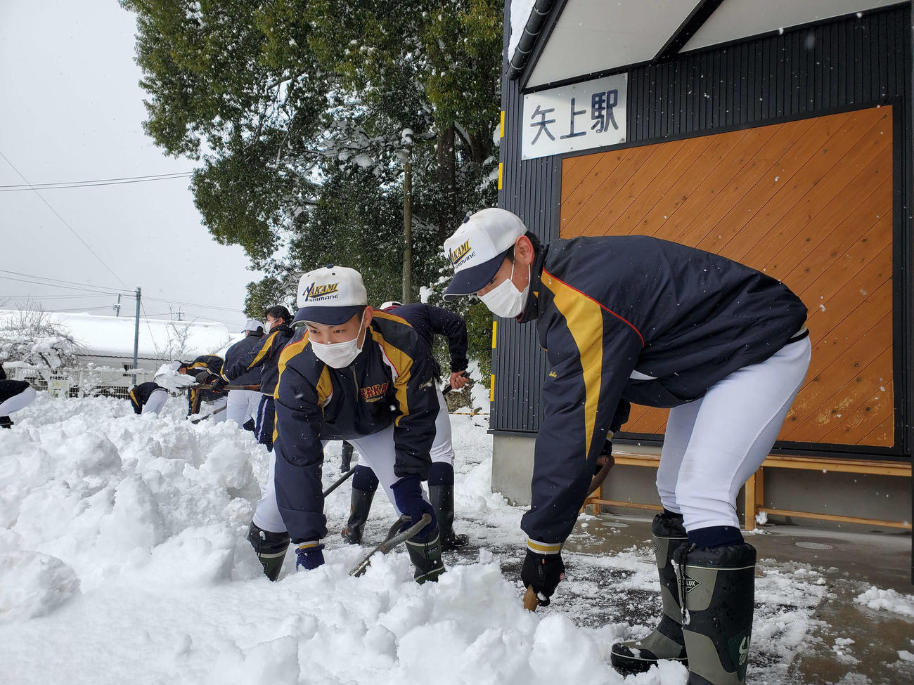 ユニホーム姿で雪かきする矢上ナイン（チーム提供）