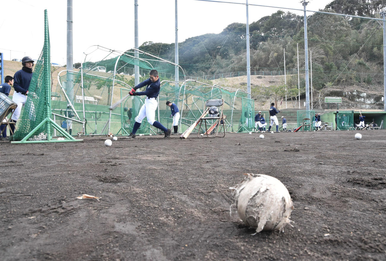 懸命に打撃練習に取り組む大崎ナイン（撮影・岩下翔太）