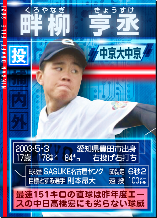 ドラフトファイル：畔柳亨丞