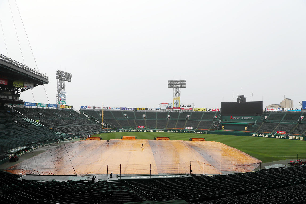 甲子園球場は朝の段階でグラウンドにシートが張られたまま…（撮影・加藤哉）