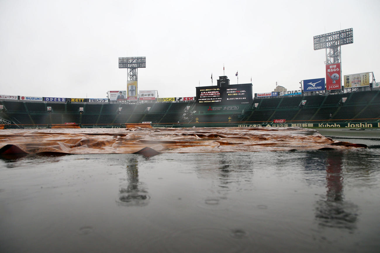 降雨順延となったセンバツ高校野球（撮影・加藤哉）