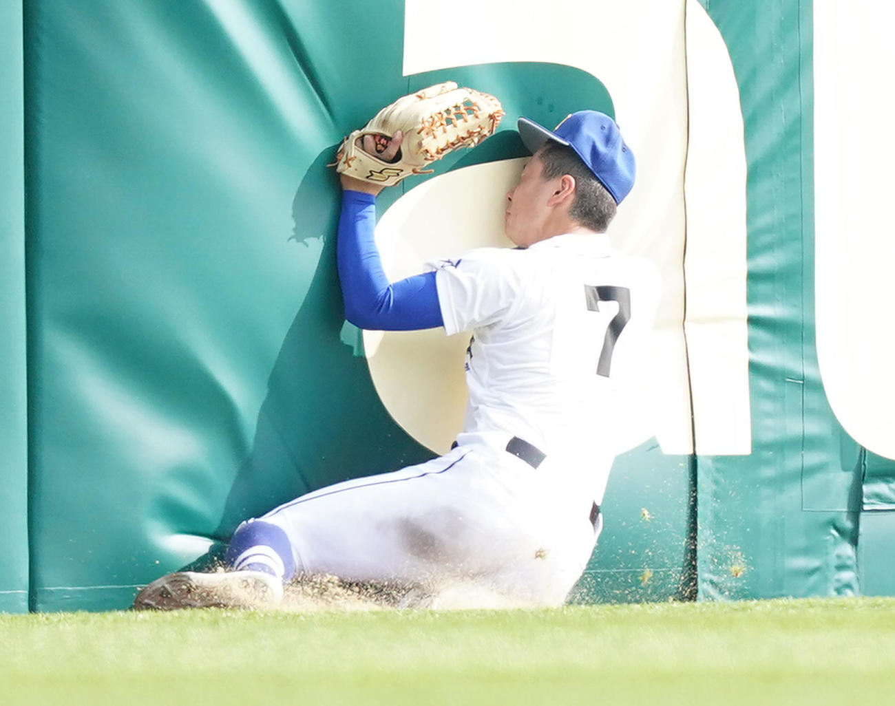 明豊対智弁学園　6回裏智弁学園2死一、三塁、山下の左飛を好捕しフェンスに激突する阿南（撮影・菅敏）