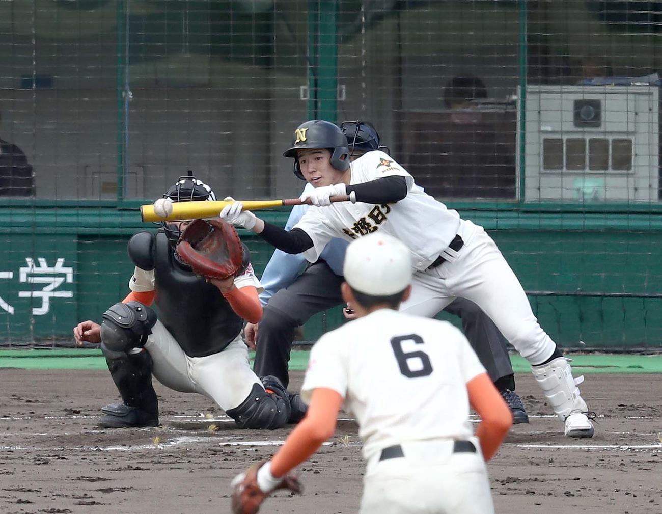 札幌日大対北海道栄　7回表札幌日大1死一、三塁、スクイズを決める本多（撮影・黒川智章）