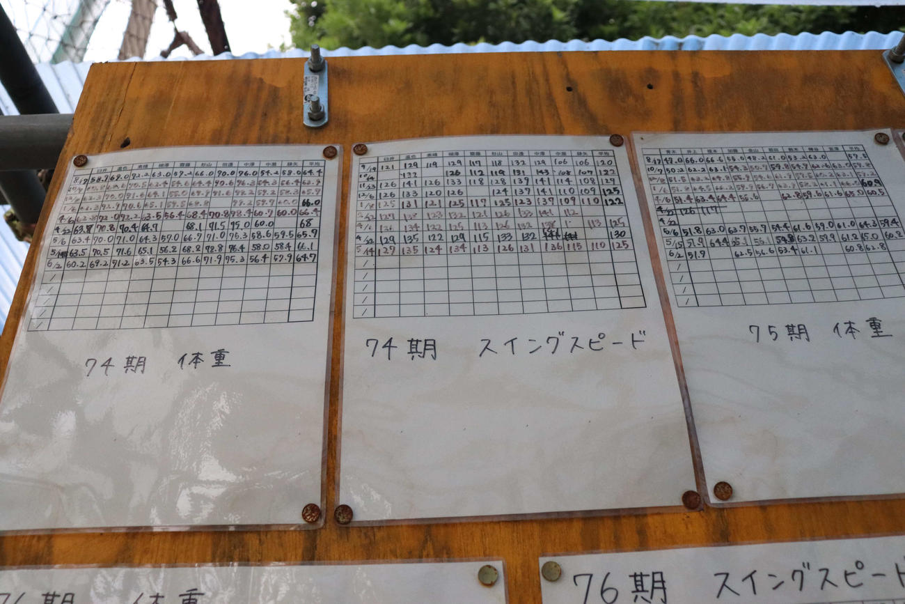厚木ナインはスイングスピードや体重などを細かに計測している（撮影・勝部晃多）