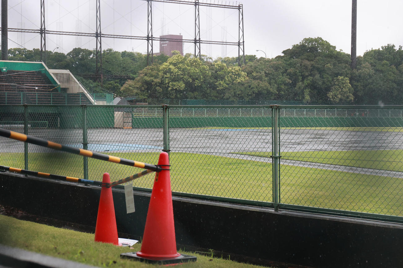 高校野球千葉大会は雨天のため3日連続で中止となった。習志野市の第一カッター球場でも雨が降り続いていた＝3日午前8時40分（撮影・野上伸悟）