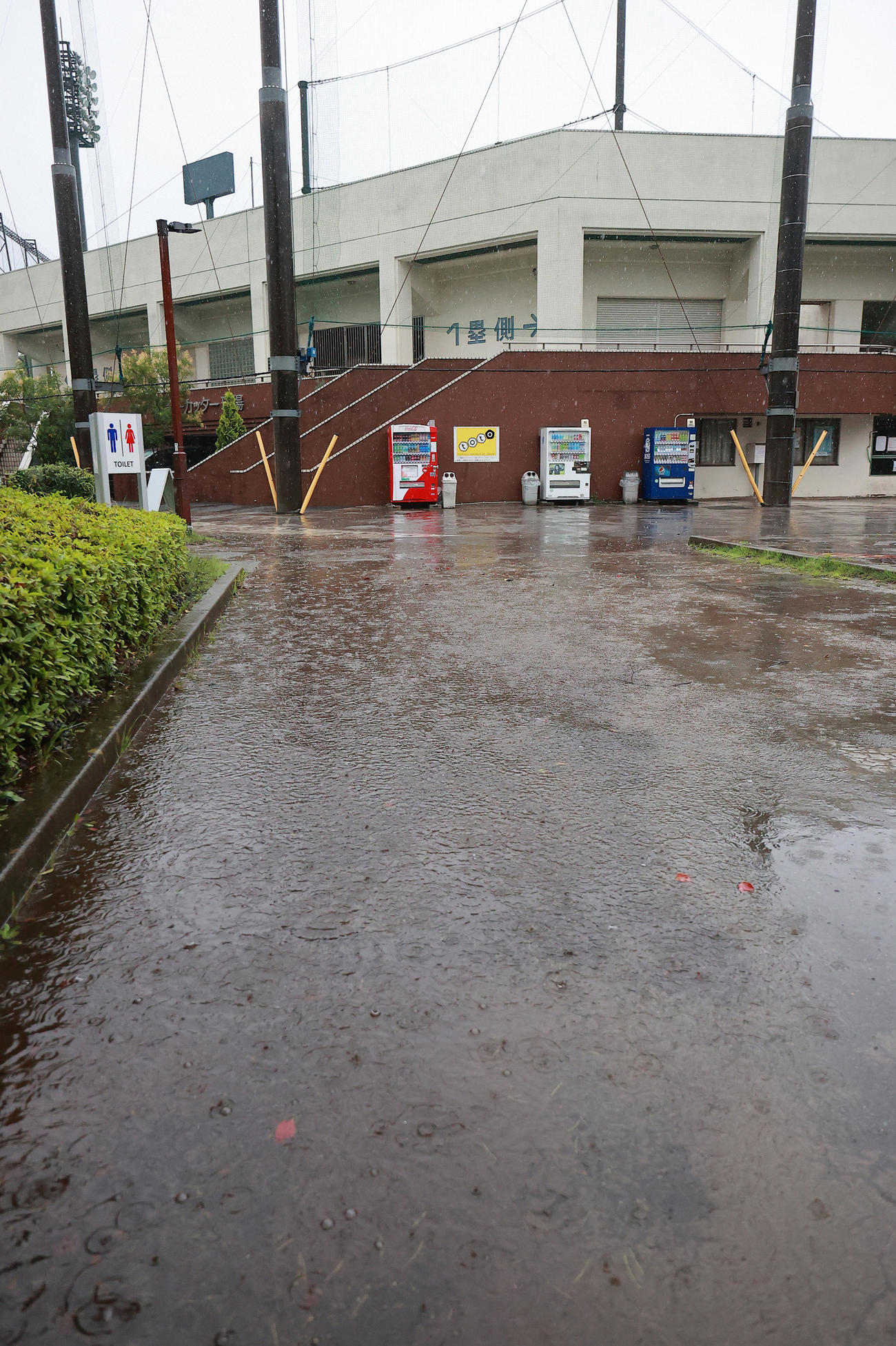 高校野球千葉大会は雨天のため3日連続で中止となった。習志野市の第一カッター球場周辺でも水たまりができるほど雨が降り続いていた＝3日午前8時40分（撮影・野上伸悟）