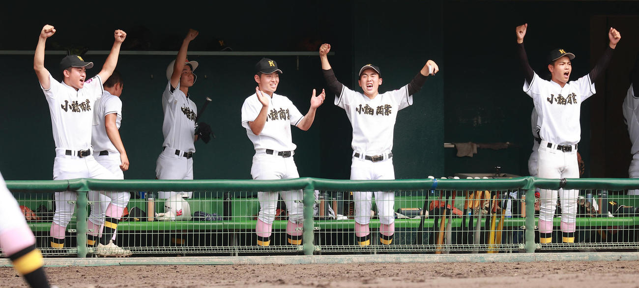 中野立志舘対小諸商　5回裏小諸商2死一、三塁、新津の2点滴時中二塁打に盛り上がる小諸商ベンチ（撮影・野上伸悟）
