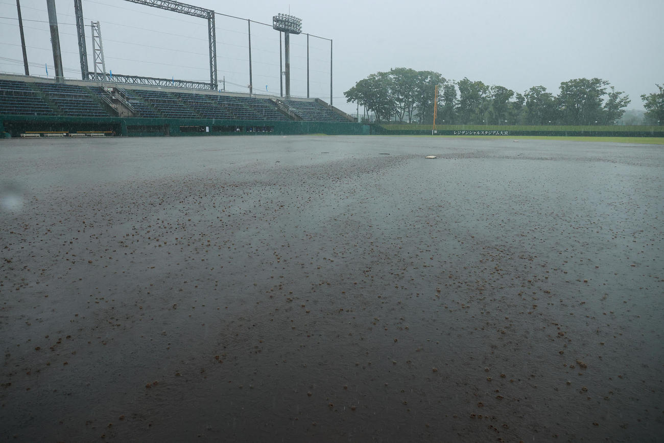 朝霞対花咲徳栄の試合前に振り出した雨で水浸しになったレジデンシャルスタジアム大宮。試合は順延となった（撮影・野上伸悟）