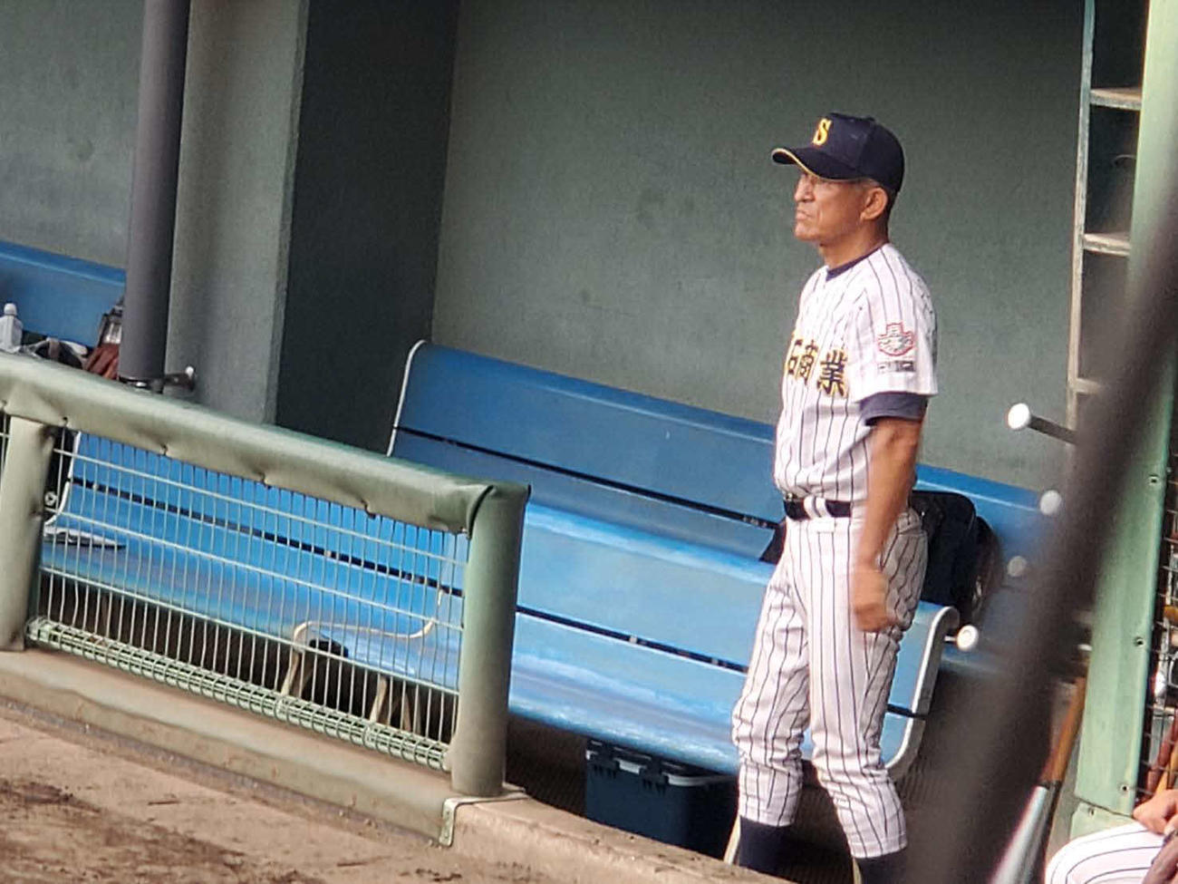 ベンチで戦況を読む明石商・狭間善徳監督