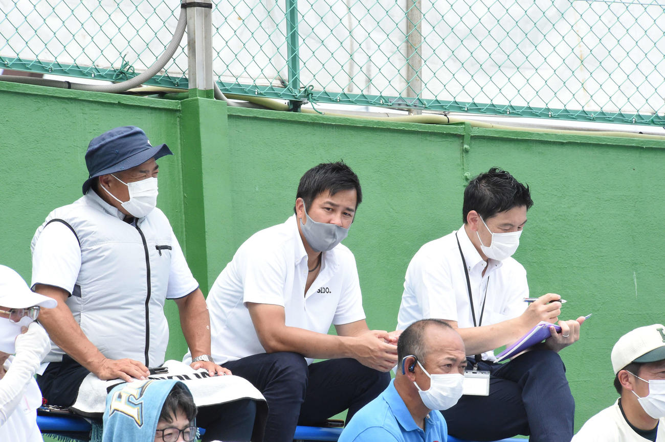 試合を見つめる報徳学園コーチを務める元阪神の葛城育郎氏（中央）