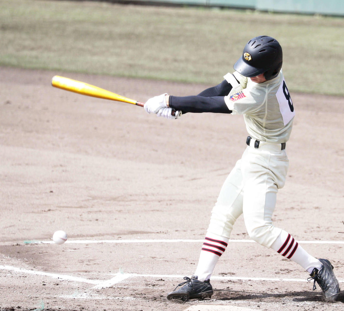 作新学院対栃木　打席に立つ作新学院・田代主将（撮影・関根直人）