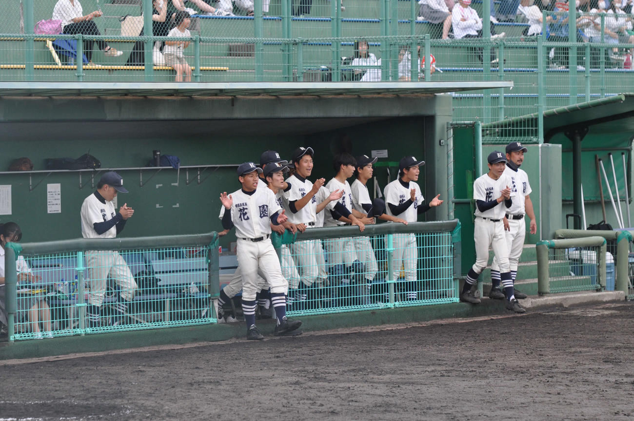 花園対阪南　6回コールド勝ちした花園ベンチのナインらは手を叩き喜ぶ（撮影・佐藤妙月）