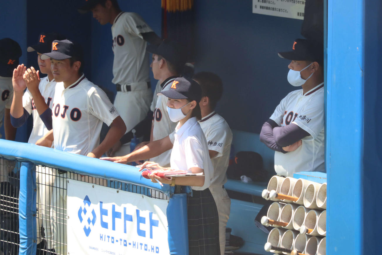 綾瀬対向上　ベンチから戦況を見つめる向上・高下純伶マネジャー（中央）（撮影・勝部晃多）