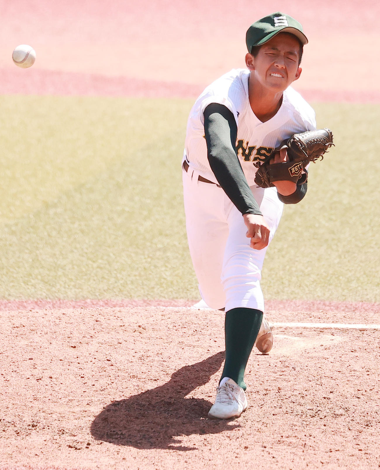 専大松戸対東海大市原望洋　力投する専大松戸・深沢（撮影・野上伸悟）