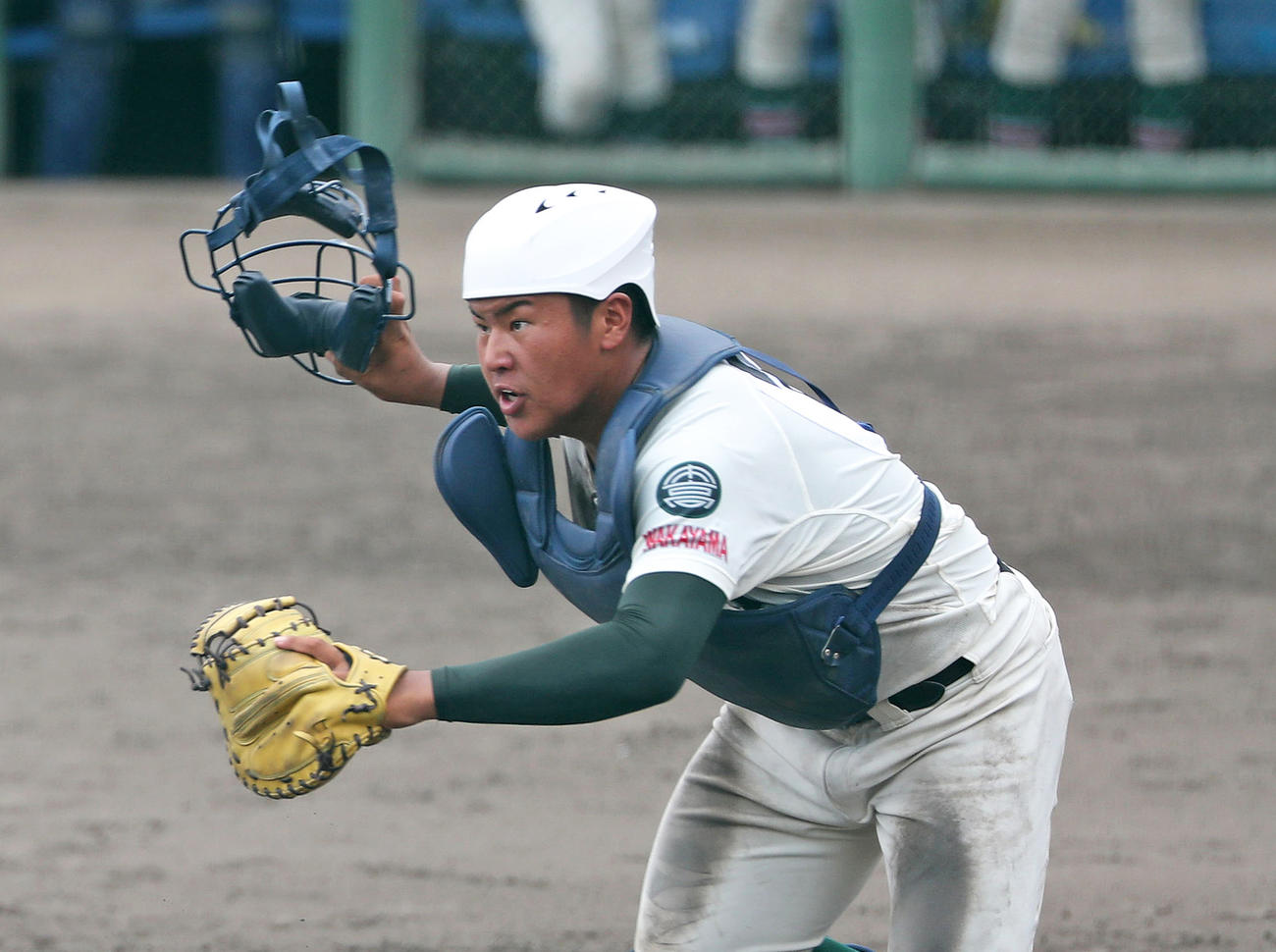 バント処理する市和歌山・松川虎生（撮影・白石智彦）