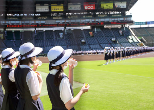 ２年ぶり入場行進にプラカード嬢も参加できる喜び 最高の舞台演出する 高校野球夏の甲子園 日刊スポーツ