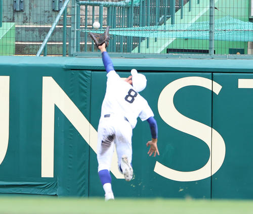第103回全国高校野球選手権1回戦 新田対静岡 7回裏静岡1死一塁、山岸の打球を好捕する新田・長谷川中堅手(撮影・清水貴仁)