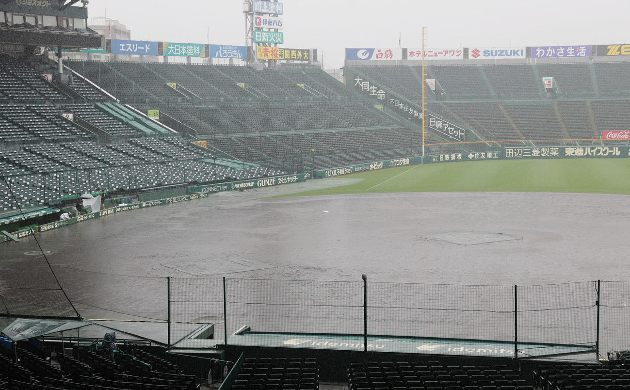 雨で水が浮く甲子園のグラウンド（撮影・清水貴仁）