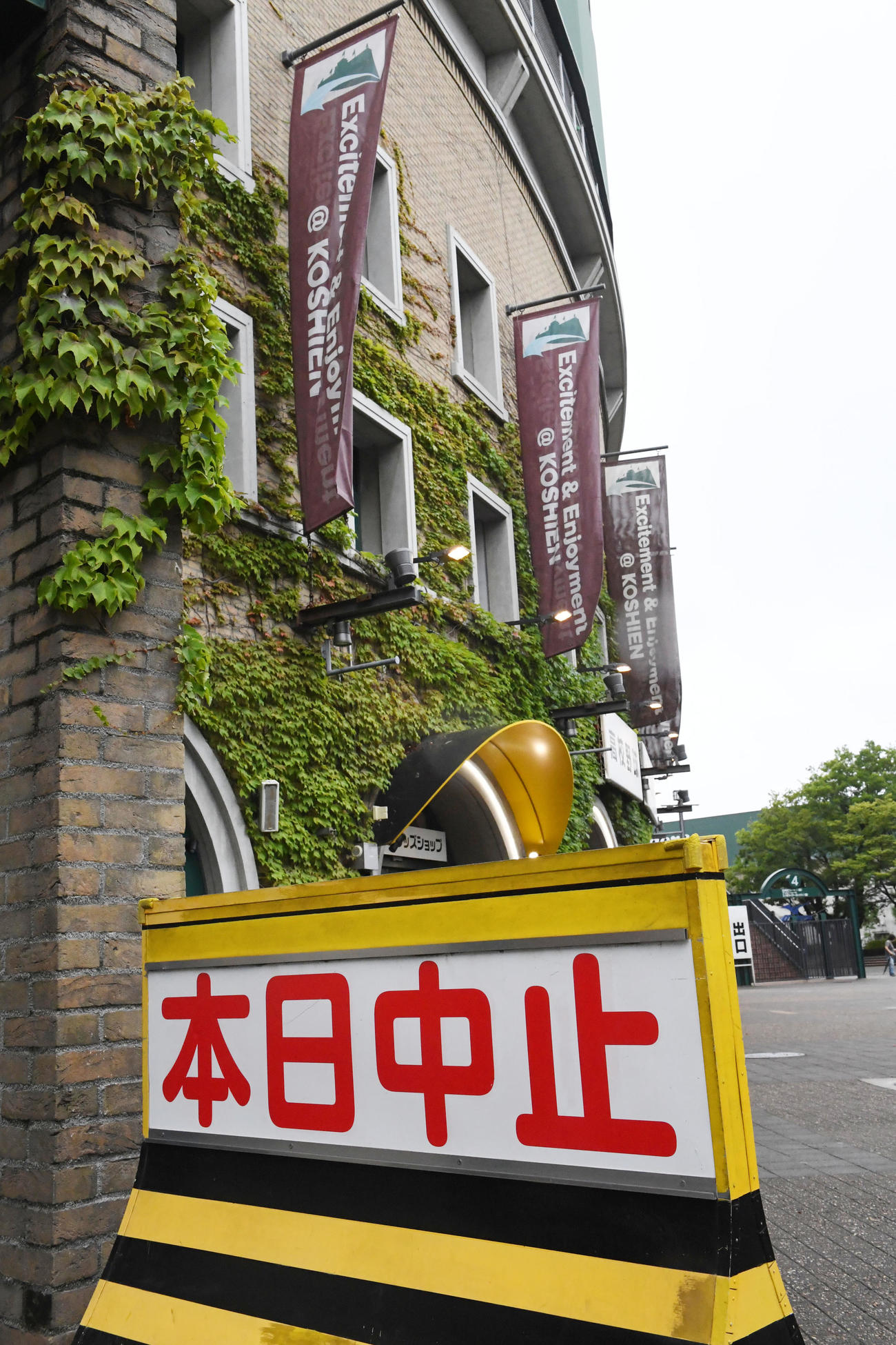 3日続けて雨天中止となった高校野球（撮影・前岡正明）
