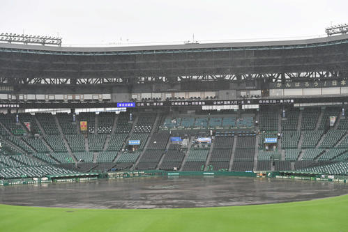 午前8時過ぎ、雨が降り続く甲子園球場（撮影・岩下翔太）