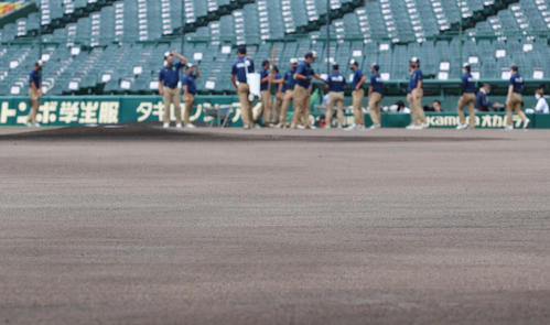 午前10時過ぎ、阪神園芸の整備により水たまりがなくなったグラウンド（撮影・垰建太）